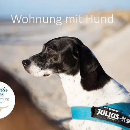 Apartman Haus Jungnamen Whg. 2 *