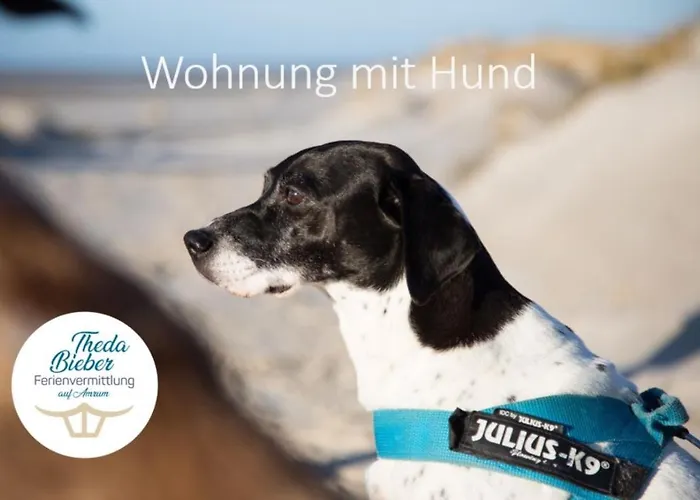 Apartment Haus Jungnamen Whg. 2 *